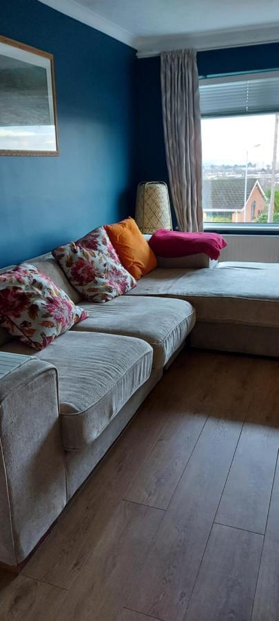 Bellevue Bungalow - Comfortable Home With Amazing Views Belfast Exterior foto