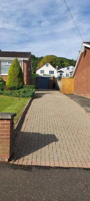 Bellevue Bungalow - Comfortable Home With Amazing Views Belfast Exterior foto