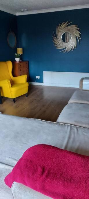 Bellevue Bungalow - Comfortable Home With Amazing Views Belfast Exterior foto