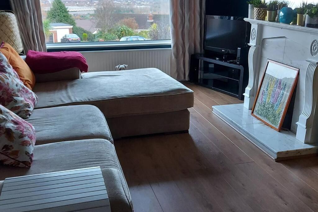 Bellevue Bungalow - Comfortable Home With Amazing Views Belfast Exterior foto
