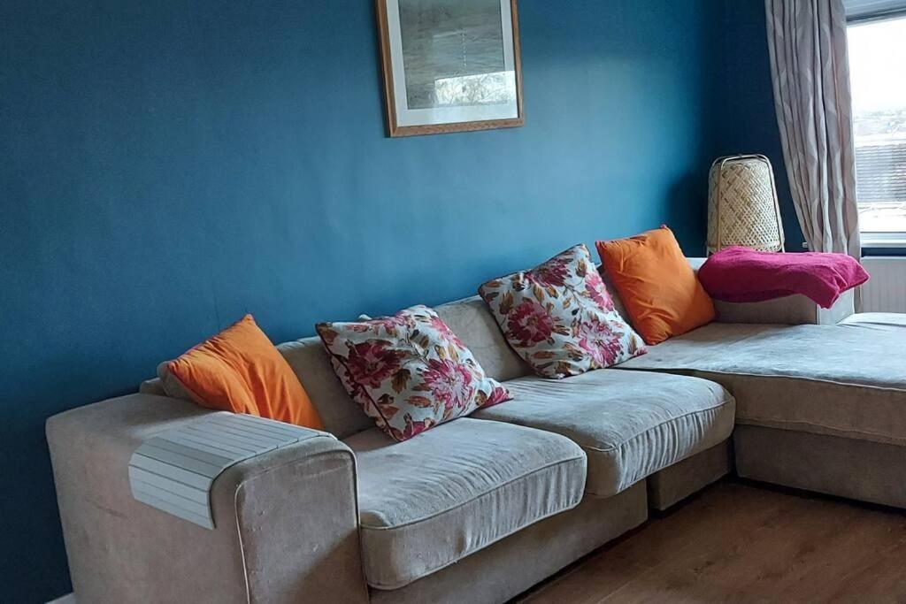 Bellevue Bungalow - Comfortable Home With Amazing Views Belfast Exterior foto